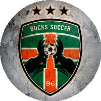 Logo Flint City Bucks